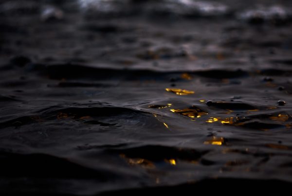 Night Waves